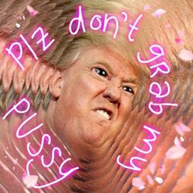 Please Don't Grab My Pussy - 2016 • Single/EP
