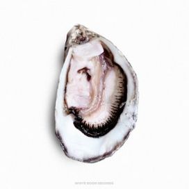 Open - 2014 • Álbum