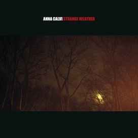 Strange Weather - 2014 • Single/EP