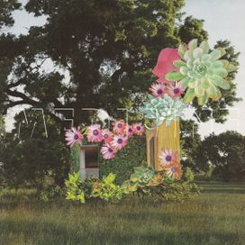 Home Everywhere - 2014 • Álbum