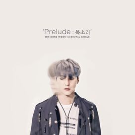 Prelude: Voice - Son Dong Woon