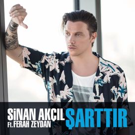 Şarttır - 2016 • Single/EP
