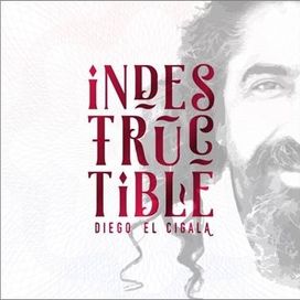 Indestructible - 2016 • Álbum
