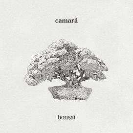 Bonsai - Camará