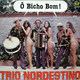 Ô Bicho Bom! - 1981 • Álbum