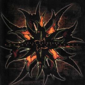 Domine Non Es Dignus - 2004 • Álbum