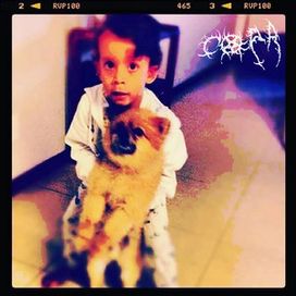 eu mudei muito depois que meu primeiro cachorro morreu. VOLUME 1 - 2024 • Álbum