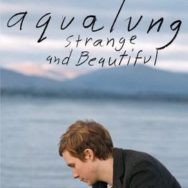 Strange and Beautiful - 2006 • Álbum