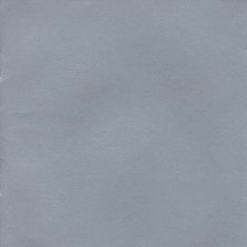 Silver - 1994 • Álbum