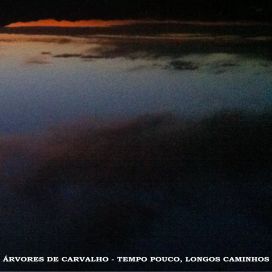 TEMPO POUCO, LONGOS CAMINHOS. - 2011 • Álbum