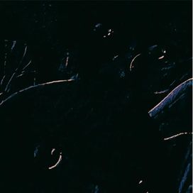 Sacrificial Feastings - 2023 • Single/EP
