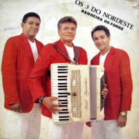 Bandeira do Forró - 1994 • Álbum
