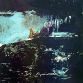 Pássaros Na Garganta - 1982 • Álbum