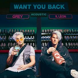 Want You Back (Acoustic) - 2019 • Sencillo/EP