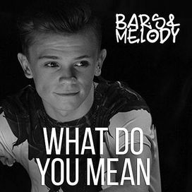 What Do You Mean  - 2015 • Álbum
