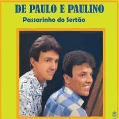 Passarinho Do Sertão  - 1989 • Álbum