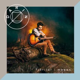 Fjärilar I Magen - 2015 • Álbum
