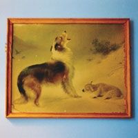 The Rescue - 2005 • Álbum