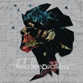 Planless Perfection - 2016 • Álbum