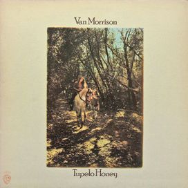 Tupelo Honey - 1971 • Álbum