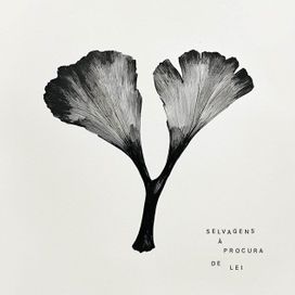 Y - 2025 • Álbum