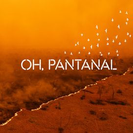 Oh, Pantanal - 2024 • Single/EP
