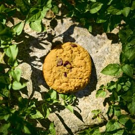 Cookie Clicker - 2021 • Single/EP