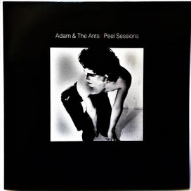 Peel Sessions - 1990 • Álbum