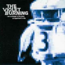 I Am A Stranger In This Place (An Experiment In Vibe) - 2000 • Álbum