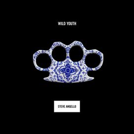 Wild Youth - 2016 • Álbum