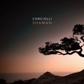 SHAMAN - 2014 • Álbum