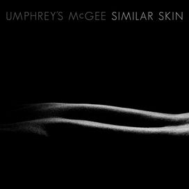 Similar Skin - 2014 • Álbum