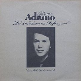 Die Liebe Kann Ein Anfang Sein - 1981 • Álbum