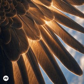 Beneath Your Wings - 2026 • Sencillo/EP