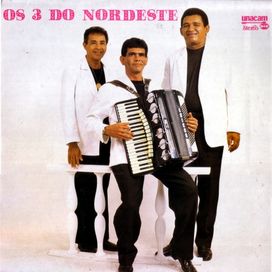 Homenagem a Um Sanfoneiro - 1995 • Álbum