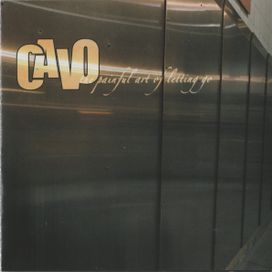 The Art Painful Of Letting Go - 2006 • Álbum