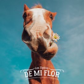 De Mi Flor - 2019 • Álbum