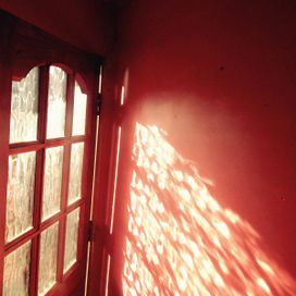 Gossamer Rose - 2016 • Álbum