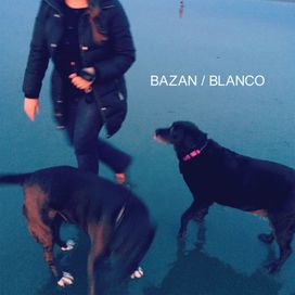 Blanco - David Bazan