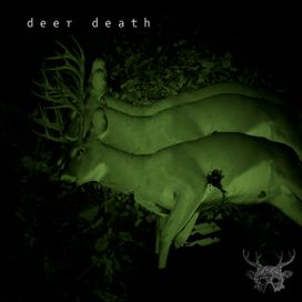 Next Death - 2024 • Álbum