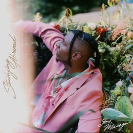 Mystery Lady (feat. Masego) - 2020 • Single/EP