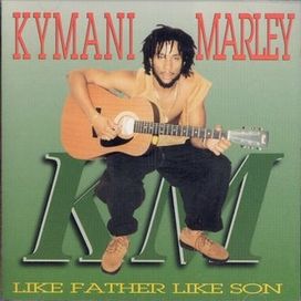 Like Father Like Son  - 1996 • Álbum