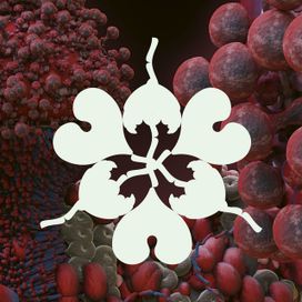 Ovule (feat. Shy Girl) (Sega Bodega Remix) - 2023 • Sencillo/EP