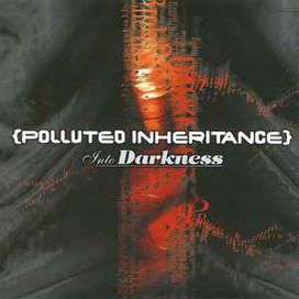 Into Darkness - Polluted Inheritance