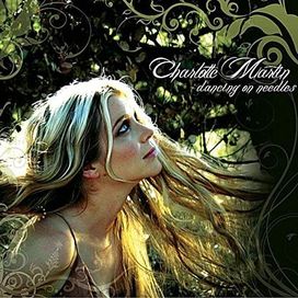 Dancing On Needles - 2011 • Álbum