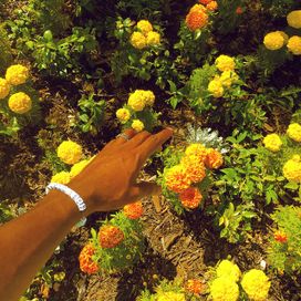 Peach Fuzz - 2018 • Sencillo/EP
