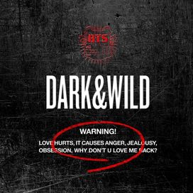 Dark &amp; Wild - 2014 • Álbum