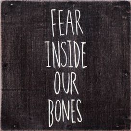 Fear Inside Our Bones - 2013 • Álbum