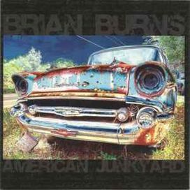 American Junkyard - 2009 • Álbum