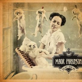 Songs From a Solitary Home - Major Parkinson